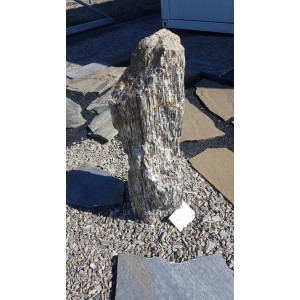 Kivistunud puidu monoliit, 70–90 cm, tk (Šiauliais)