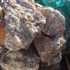 Crystal, purustatud, kaaluga, kg
