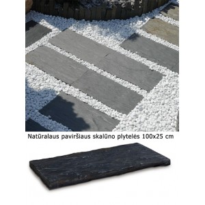 Kiltkiviplaadid, reljeefsed, 100 × 25 cm, tk