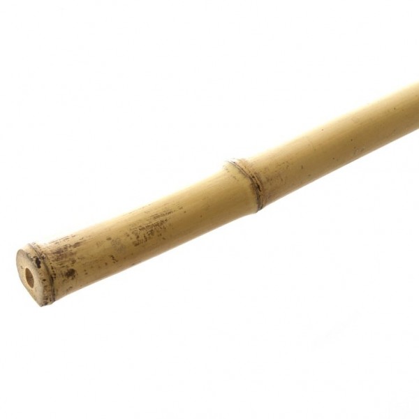 Bambuskepp 120 cm, tk